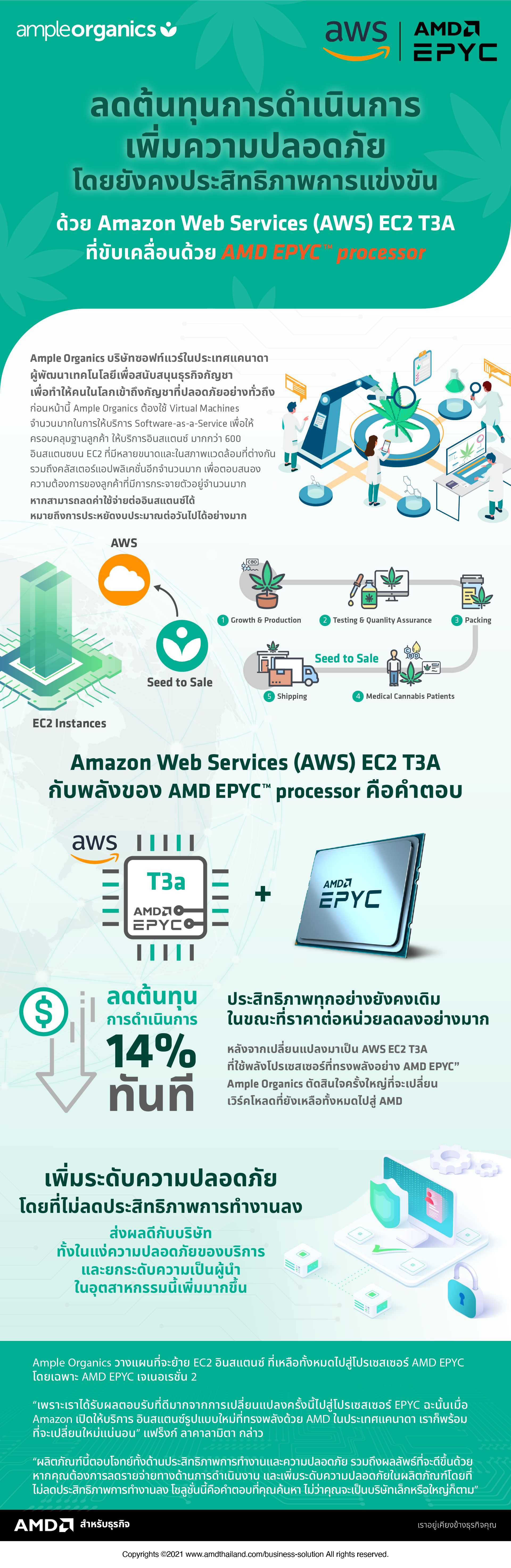 AMD Web Infographic - Ample Organics-01