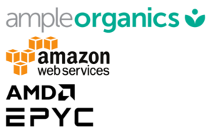 Ample Organic LOGO CaseStudy