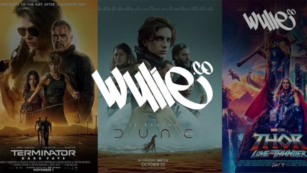wylieco_successcase